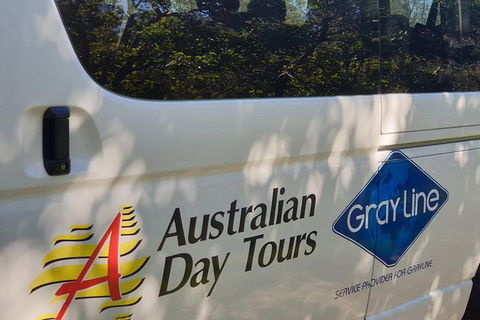 Natural Bridge Glow Worm Night Tour From Gold Coast - Accommodation Rockhampton 9