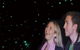 Natural Bridge Glow Worm Night Tour From Gold Coast - thumb 6