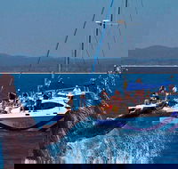 Blue Dolphin Exclusive Whale Watch Encounters - Accommodation Rockhampton