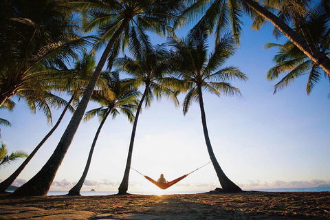 Port Douglas And Hartley's Crocodile Adventure Day Trip From Cairns - Accommodation Rockhampton 0