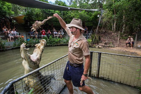 Port Douglas And Hartley's Crocodile Adventure Day Trip From Cairns - Accommodation Rockhampton 1