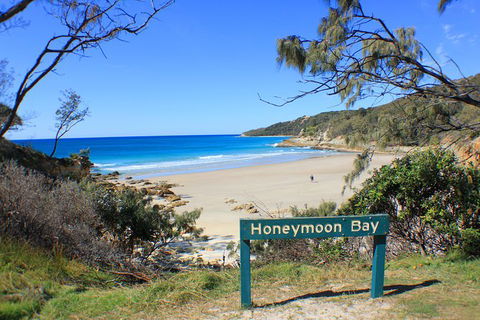Fraser & Moreton Island 3-Day Scenic 4WD ECO Tour From Brisbane Or Gold Coast - Accommodation Rockhampton 0
