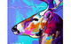 Christmas Raindeer - Kedron Park 3.00-5.00pm - thumb 0