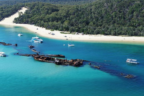 All Inclusive Dolphin And Tangalooma Wrecks Cruise Departing Gold Coast - Accommodation Rockhampton 0