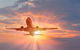 Return Trip For Brisbane Airport To And From Caloundra For Up-to 2 Ppl - thumb 1