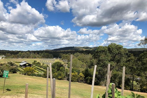 Sirromet Winery All Inclusive Lunch @ Lurleens, Tour, Tastings And Transfers - Accommodation Rockhampton 4