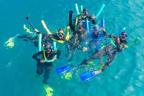 Glass-bottom Boat Tour With Whitehaven Beach - Accommodation Rockhampton 1