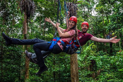 Daintree Atttractions Pass: The Best Of The Daintree In A Day - Accommodation Rockhampton 1