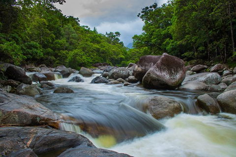 Cape Tribulation Day Tour - Accommodation Rockhampton 7