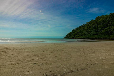 Cape Tribulation Day Tour - Accommodation Rockhampton 8