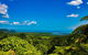 Cape Tribulation Day Tour - thumb 2
