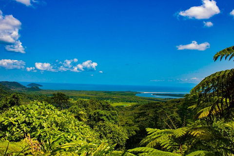 Cape Tribulation Day Tour - Accommodation Rockhampton 2