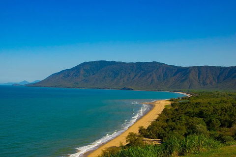 Cape Tribulation Day Tour - Accommodation Rockhampton 4