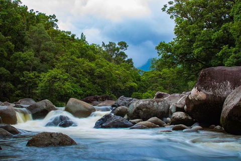 Cape Tribulation Day Tour - Accommodation Rockhampton 5