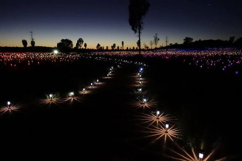 Uluru Field Of Light Sunrise Tour - Accommodation Rockhampton 2
