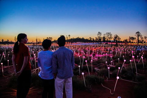 Uluru Field Of Light Sunrise Tour - Accommodation Rockhampton 0