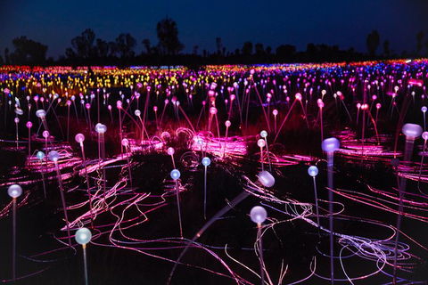 Uluru Field Of Light Sunrise Tour - Accommodation Rockhampton 13
