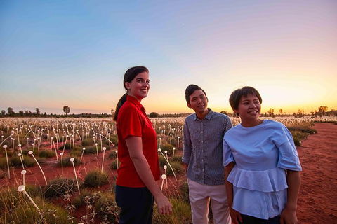 Uluru Field Of Light Sunrise Tour - Accommodation Rockhampton 11