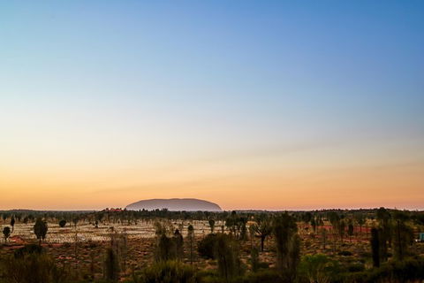 Uluru Field Of Light Sunrise Tour - Accommodation Rockhampton 12
