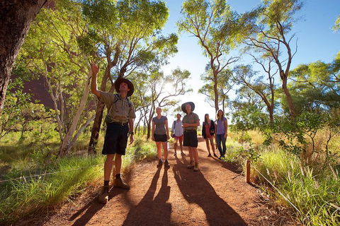 Uluru Small Group Tour Including Sunset - Accommodation Rockhampton 5