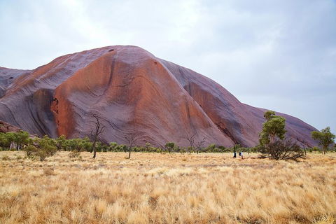 Uluru Base And Sunset Half-Day Trip With Optional Outback BBQ Dinner - Accommodation Rockhampton 10
