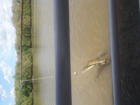 Darwin Jumping Crocodiles Cruise On Adelaide River - Accommodation Rockhampton 3