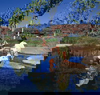 Palm Valley 4WD Tour - Accommodation Rockhampton