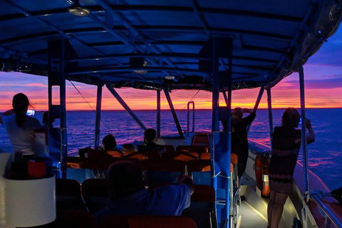 Darwin Sunset Cruise, Including Fish \'n\' Chips - Accommodation Rockhampton 9