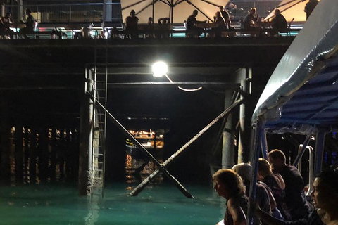 Darwin Sunset Cruise, Including Fish \'n\' Chips - Accommodation Rockhampton 8