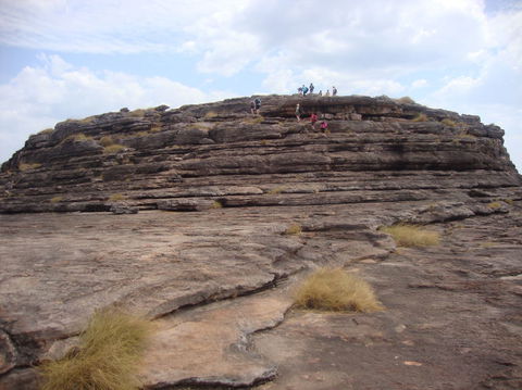 3 Day 4WD Dragonfly Dreaming Top End Safari - Accommodation Rockhampton 4
