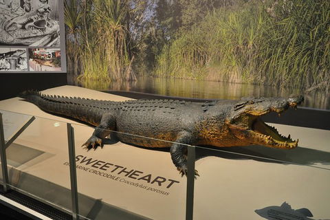 Explore Darwin City Sights Including Key Attractions - Accommodation Rockhampton 7