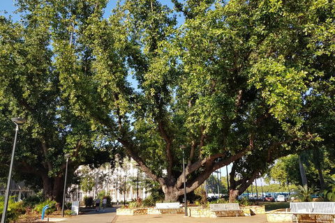 Darwin Heritage Walk - Accommodation Rockhampton 4