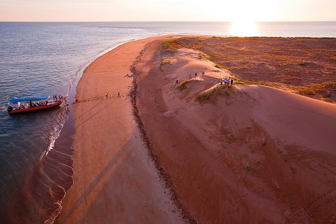 Turtle Tracks Tour To Bare Sand Island From Darwin - Accommodation Rockhampton 6
