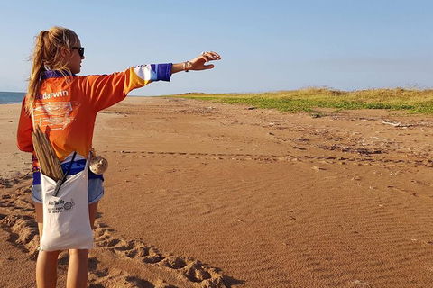 Turtle Tracks Tour To Bare Sand Island From Darwin - Accommodation Rockhampton 7
