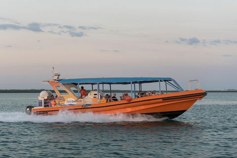 Turtle Tracks Tour To Bare Sand Island From Darwin - Accommodation Rockhampton 5