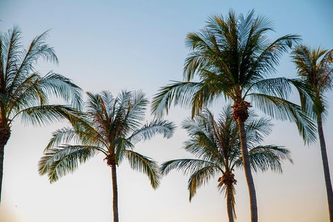 Darwin City Sightseeing Tour With Optional Sunset Cruise - Accommodation Rockhampton 7