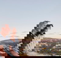 Alice Springs Highlights Half-Day Tour - Accommodation Rockhampton