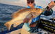 Multi-Day Barramundi And Bluewater Fishing Safaris From Darwin - thumb 7