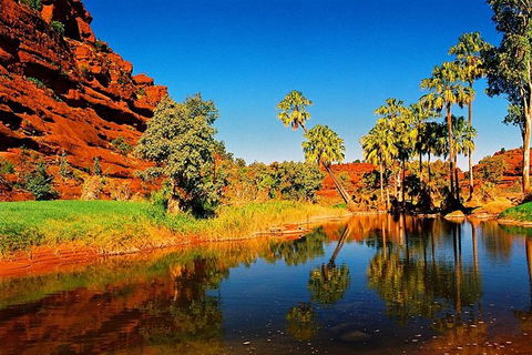 Palm Valley 4WD Day Tour - Accommodation Rockhampton 0