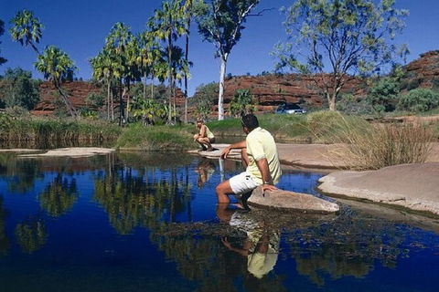 Palm Valley 4WD Day Tour - Accommodation Rockhampton 3