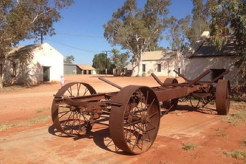 Palm Valley 4WD Day Tour - Accommodation Rockhampton 2