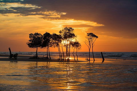 Darwin Self-Guided Audio Tour - Accommodation Rockhampton 2