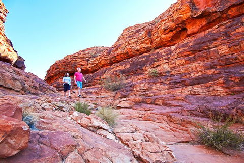Coach Transfer From Kings Canyon Resort To Ayers Rock Resort - Accommodation Rockhampton 6