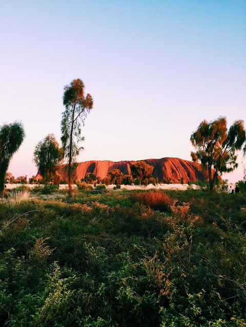 Uluru & Kata Tjuta Sights & Sounds - Accommodation Rockhampton 3