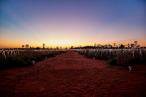 Uluru & Kata Tjuta Sights & Sounds - Accommodation Rockhampton 16