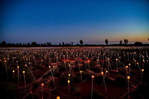 Uluru & Kata Tjuta Sights & Sounds - Accommodation Rockhampton 8