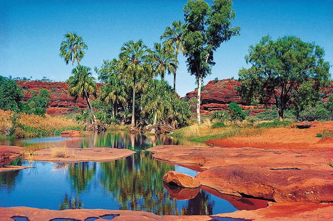 Palm Valley 4WD Tour From Alice Springs - Accommodation Rockhampton 1