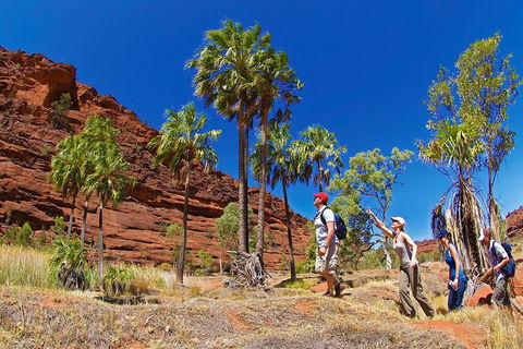 Palm Valley 4WD Tour From Alice Springs - Accommodation Rockhampton 0