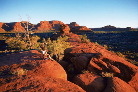 Palm Valley 4WD Tour From Alice Springs - Accommodation Rockhampton 4