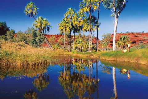 Palm Valley 4WD Tour From Alice Springs - Accommodation Rockhampton 3